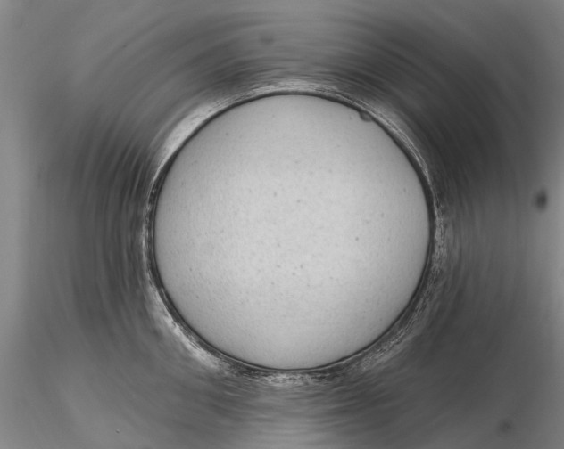 X0000115610906200912011548