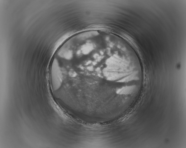 X0000115610907200912011548