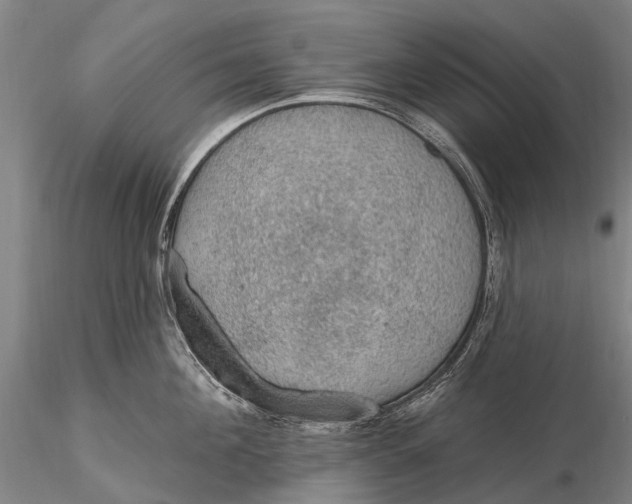 X0000115610908200912011548