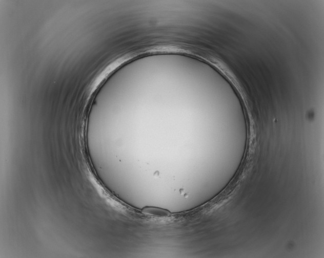 X0000115610909200912011548