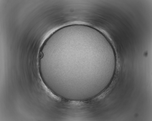 X0000115610910200912011548