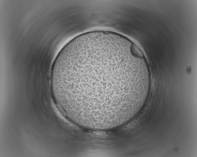 X0000115610911200912011548