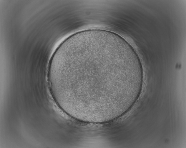 X0000115610912200912011548