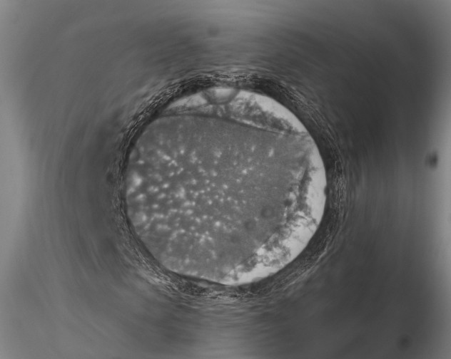 X0000115610913200912011547