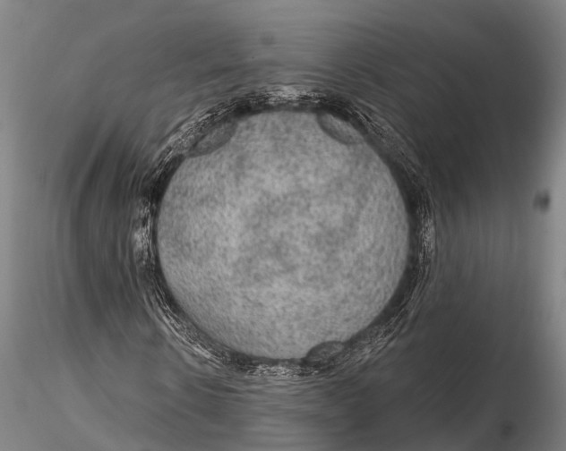 X0000115610914200912011547