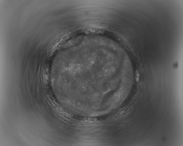 X0000115610915200912011547