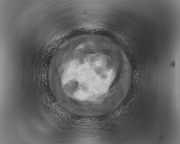 X0000115610917200912011547