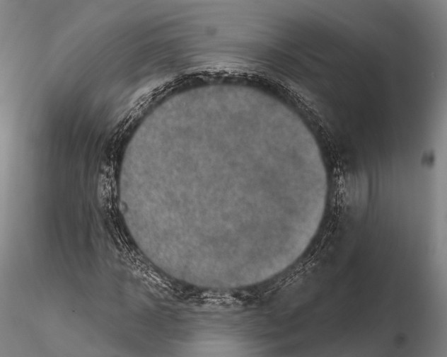X0000115610918200912011547