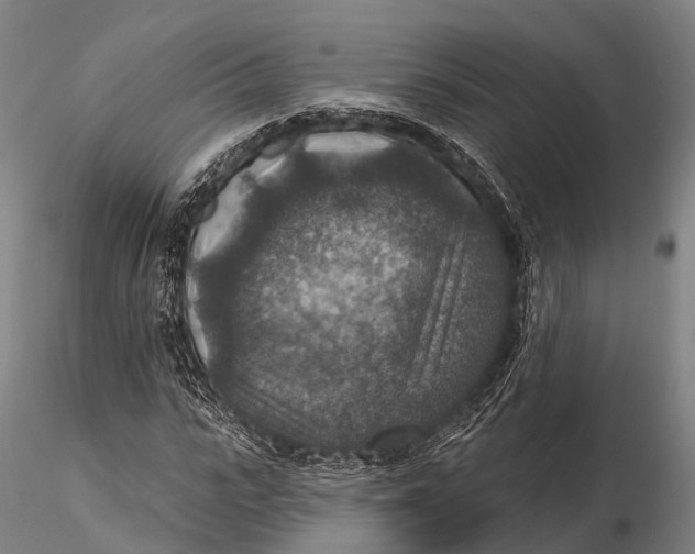 X0000115610919200912011547