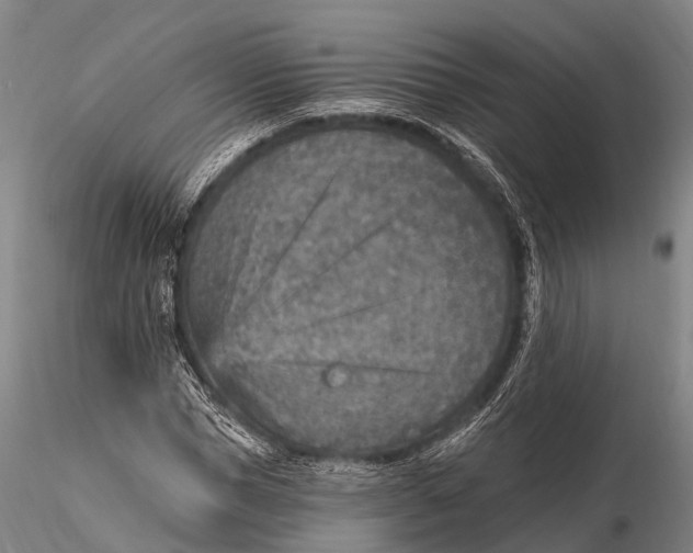 X0000115610921200912011547