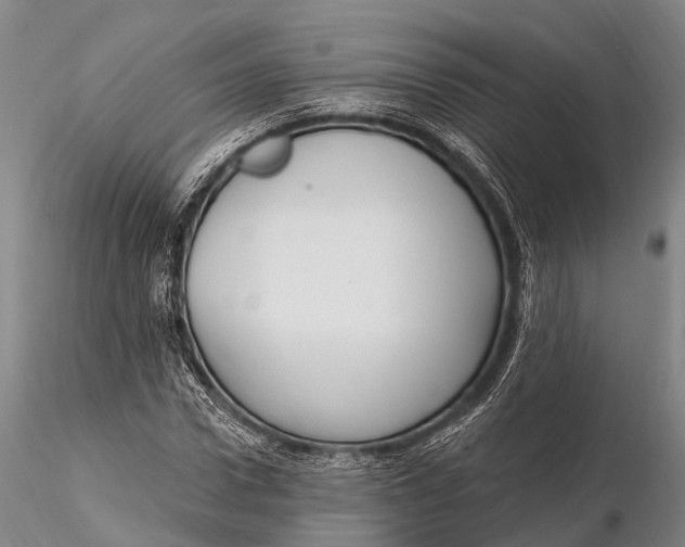 X0000115610922200912011547