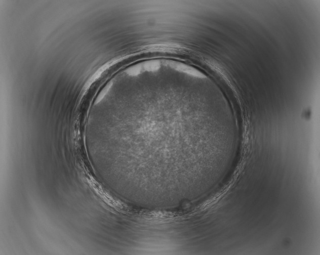 X0000115610923200912011547