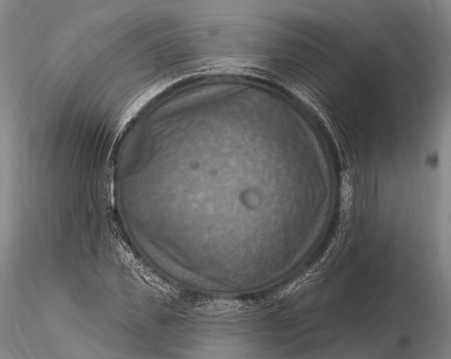 X0000115610925200912011547