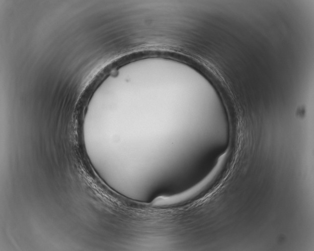 X0000115610926200912011547