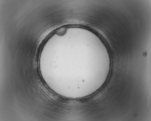 X0000115610927200912011547