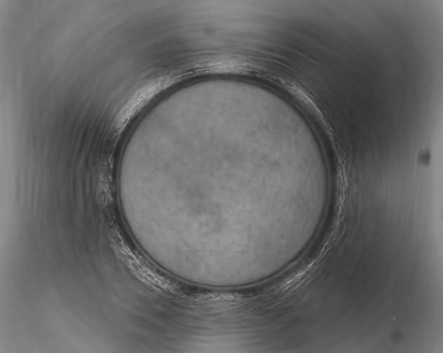 X0000115610930200912011547