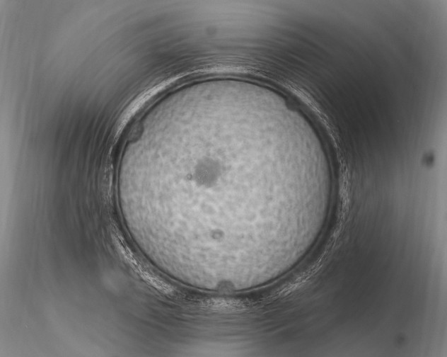 X0000115610933200912011547