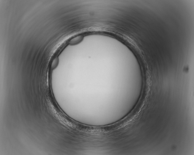 X0000115610934200912011547
