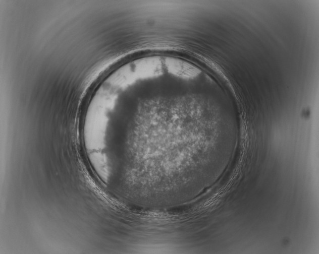 X0000115610935200912011547