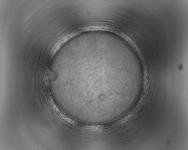 X0000115610937200912011547