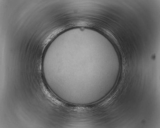 X0000115610938200912011547