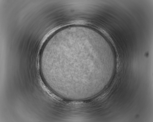 X0000115610939200912011547