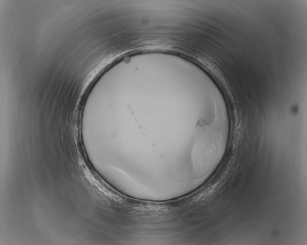 X0000115610941200912011547