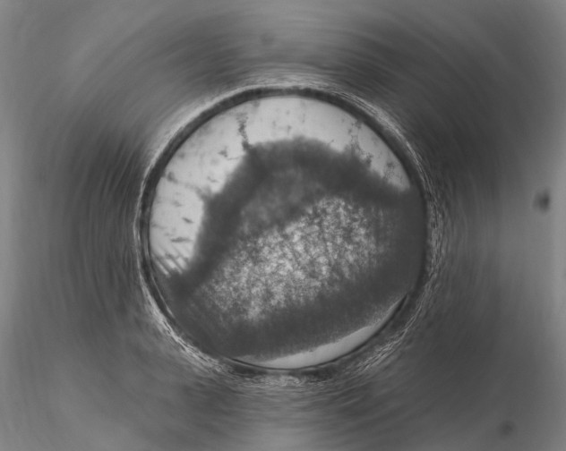 X0000115610943200912011547