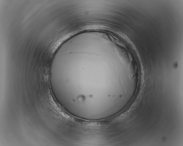 X0000115610945200912011547