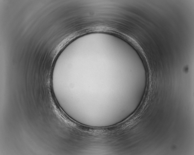X0000115610946200912011547