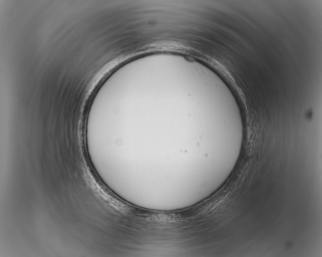 X0000115610947200912011547