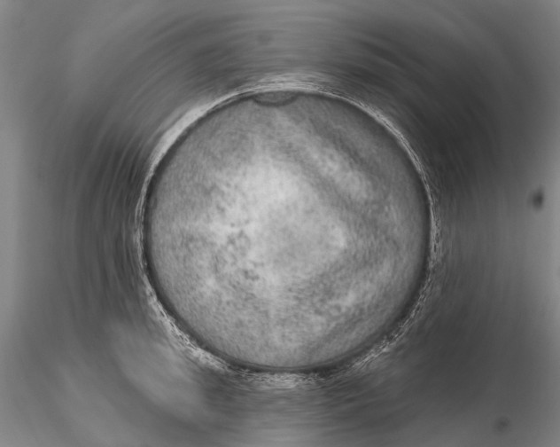 X0000115610949200912011547