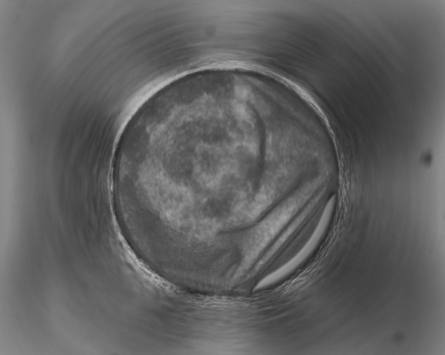 X0000115610951200912011547
