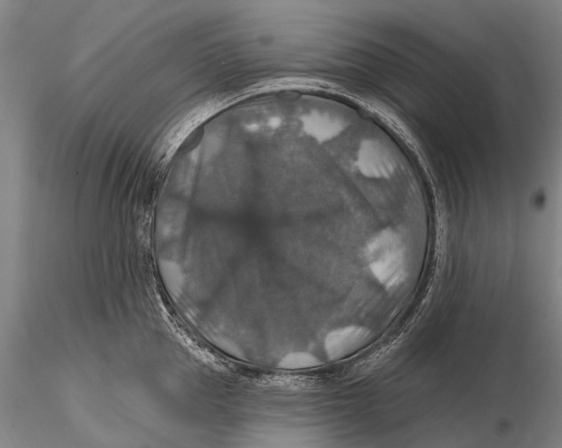 X0000115610953200912011547