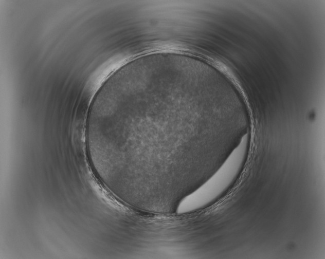 X0000115610954200912011547