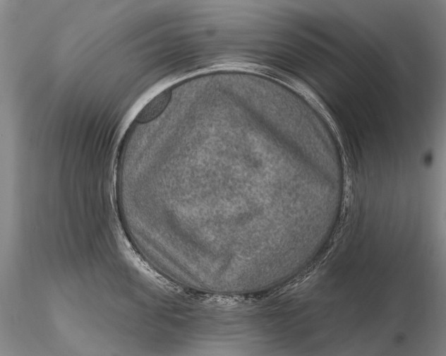 X0000115610955200912011547