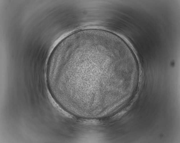 X0000115610957200912011548