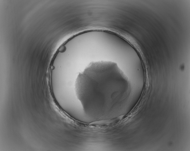 X0000115610958200912011548