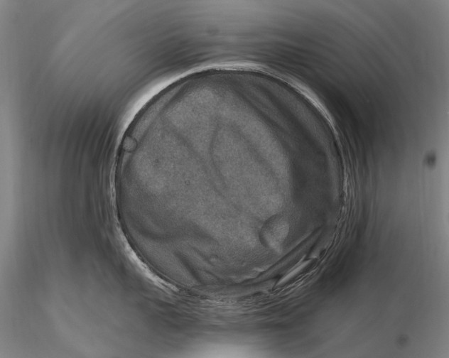X0000115610959200912011548