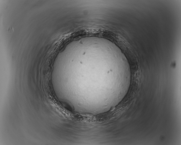 X0000115610961200912011547