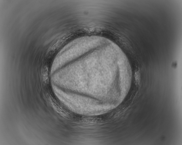 X0000115610963200912011547