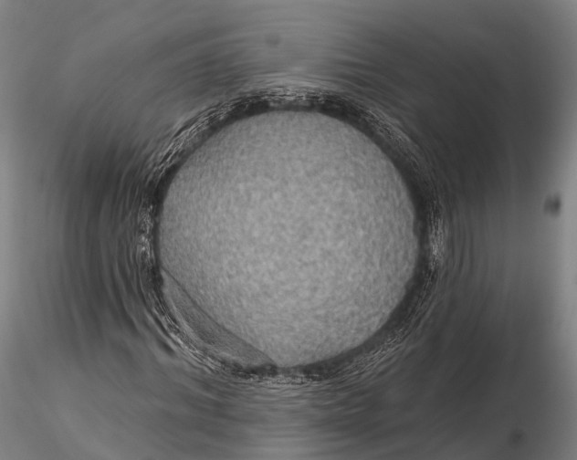 X0000115610964200912011547
