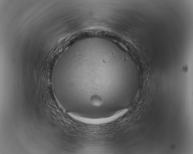 X0000115610965200912011547