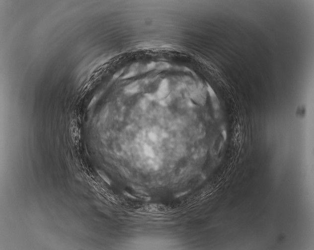 X0000115610966200912011547