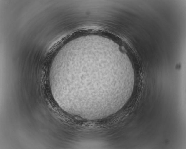 X0000115610967200912011547
