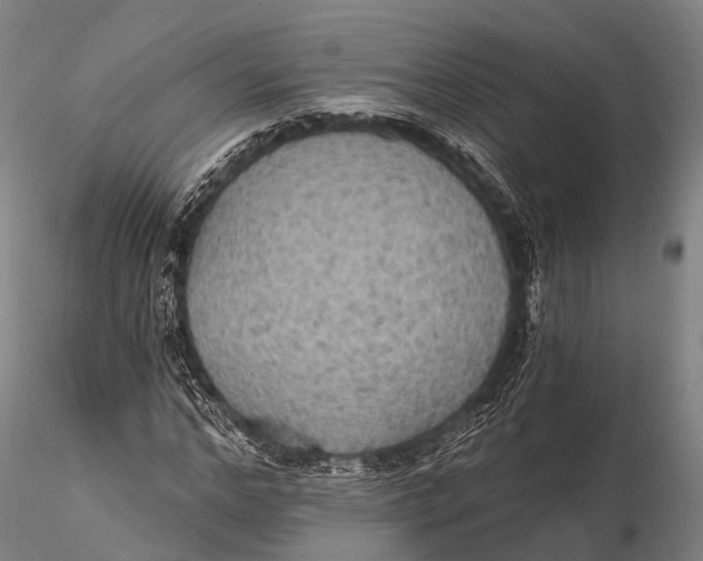 X0000115610968200912011547