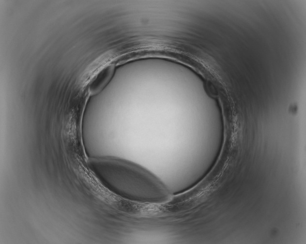X0000115610969200912011547