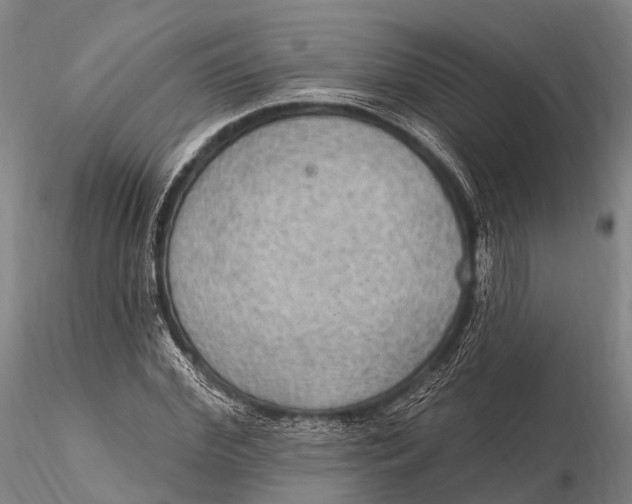 X0000115610972200912011547