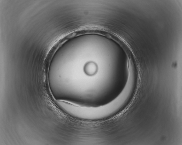 X0000115610973200912011547