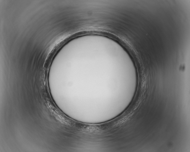 X0000115610974200912011547